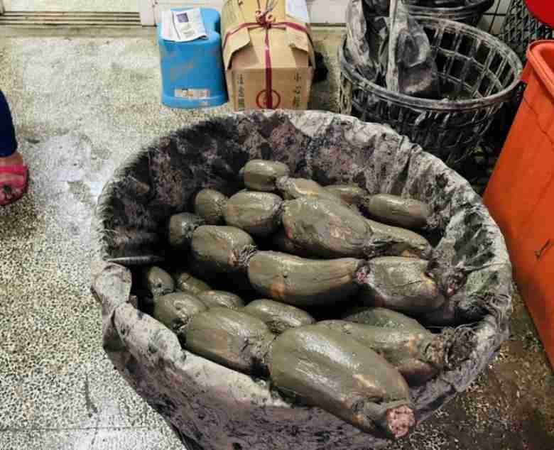 台灣本土蓮藕 大藕500g
