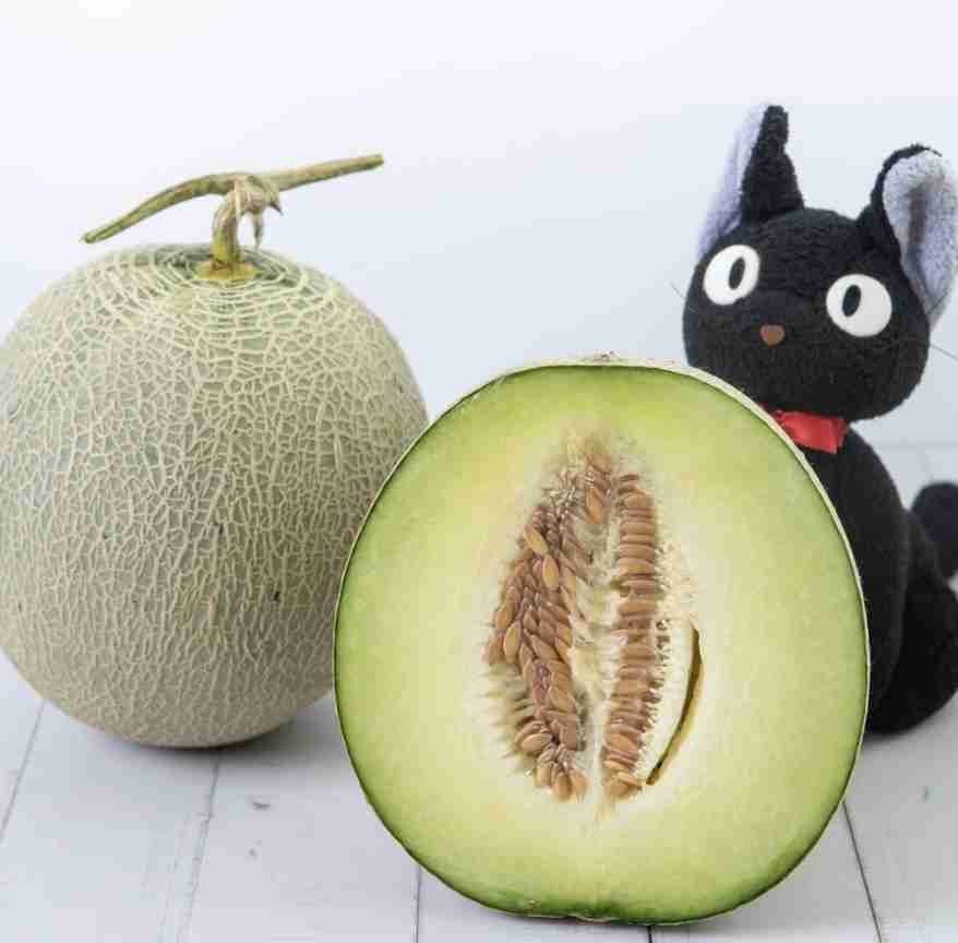 台南網紋綠肉哈密瓜 甜度13~16度（2100g±10%/份）